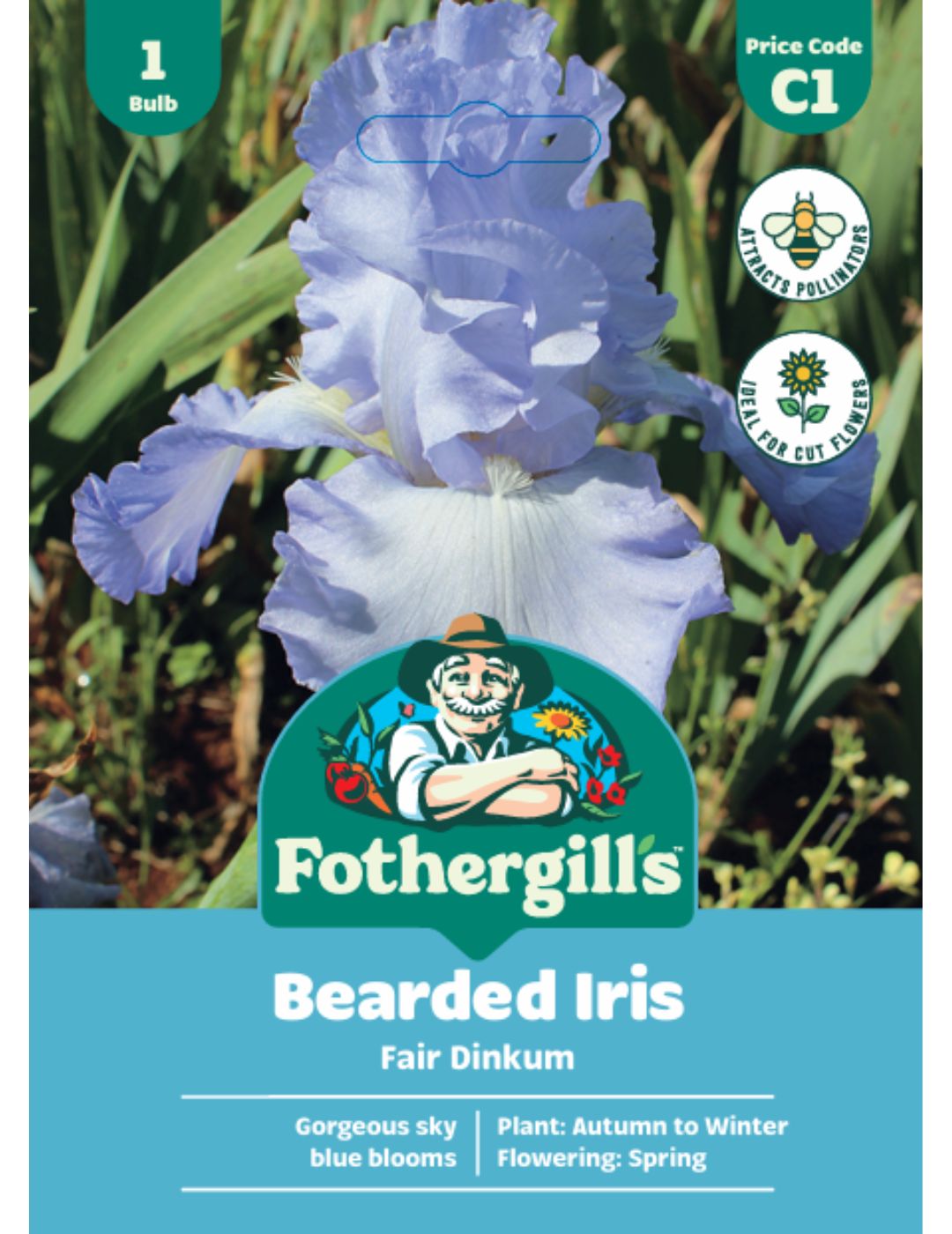 Bearded Iris Fair Dinkum (Season: Winter)