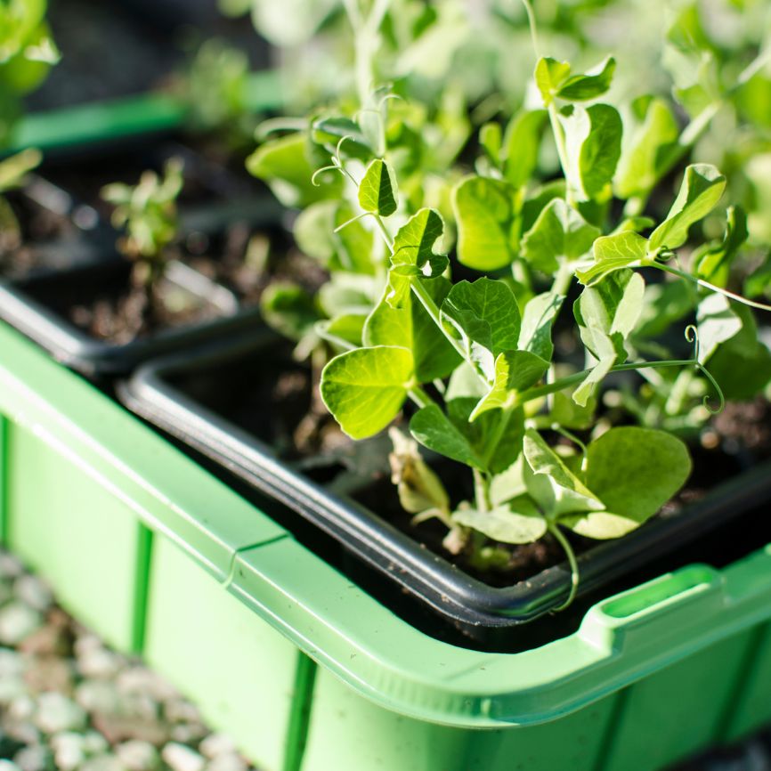 Untitled_design_14_4122ba45-46a9-4812-813f-62427d263aff