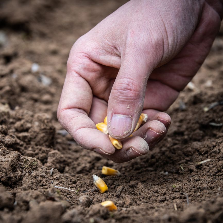 Untitled_design_e358c620-0899-484b-90b4-5f0ef40832d7