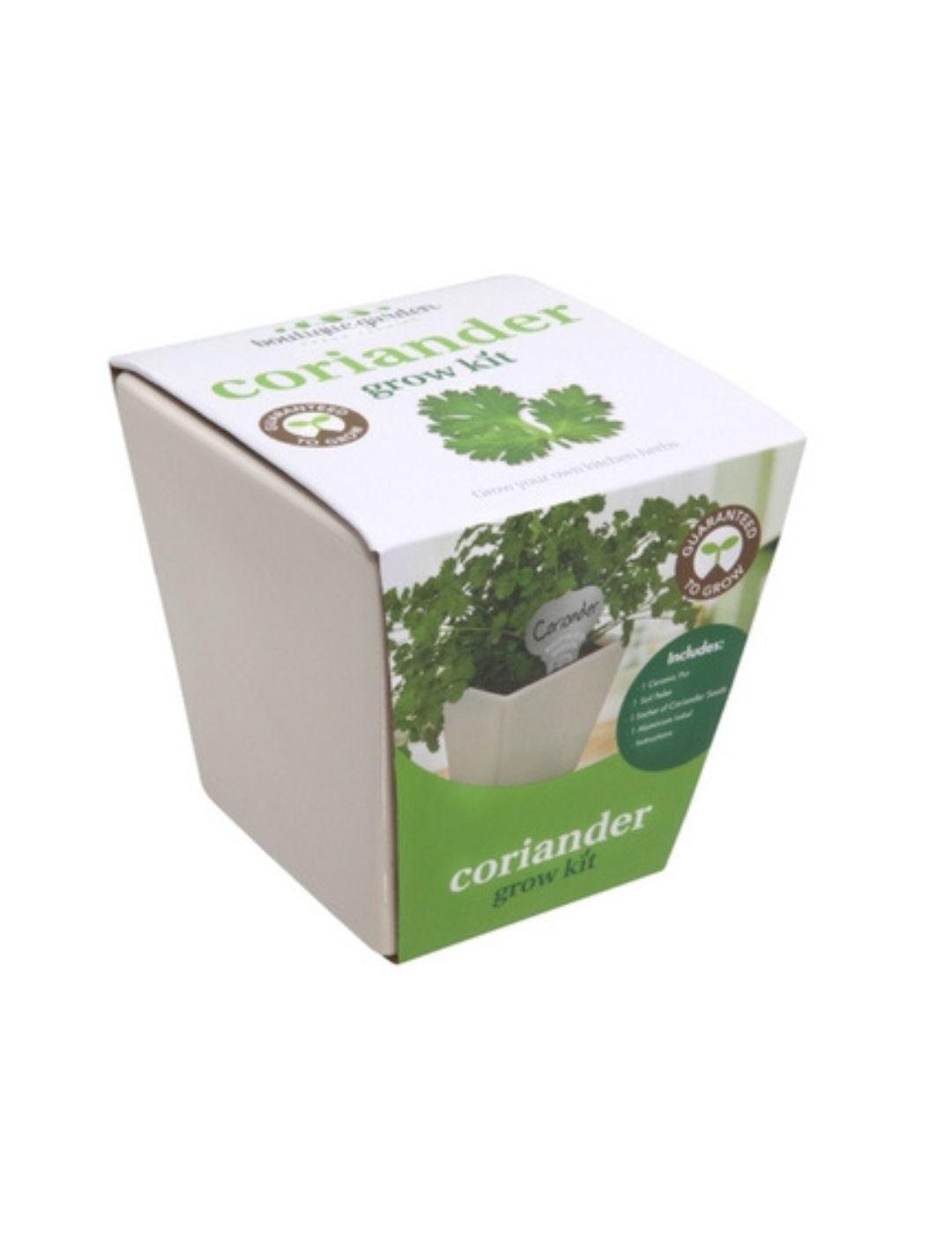 Square Ceramic Pot Coriander