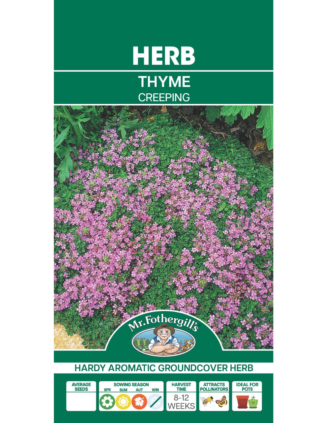 Creeping Thyme Seeds
