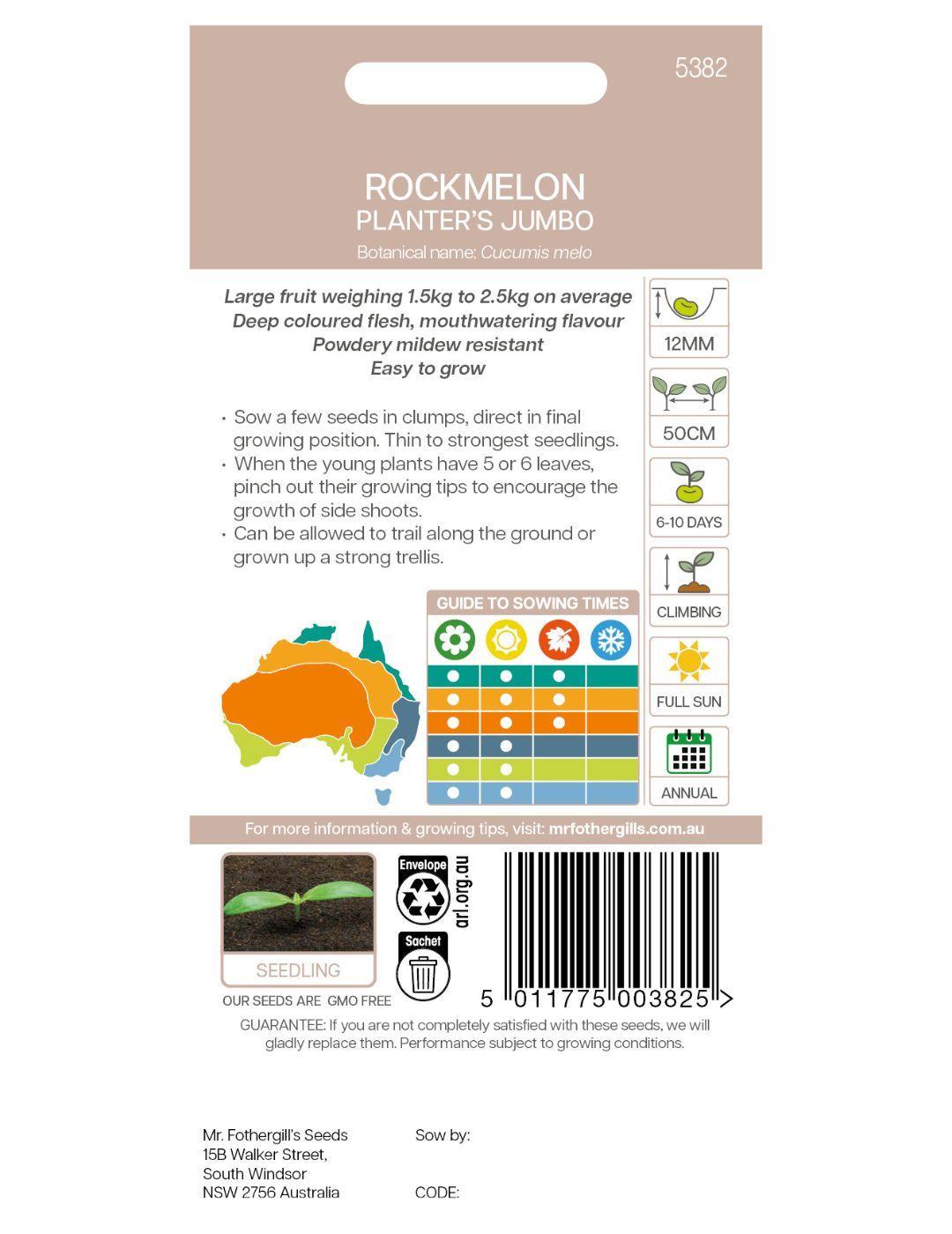 Rock Melon Planters Jumbo Seeds