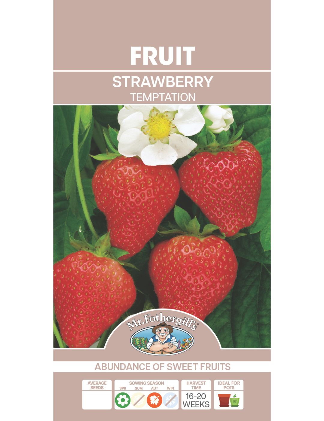 Strawberry Temptation Seeds