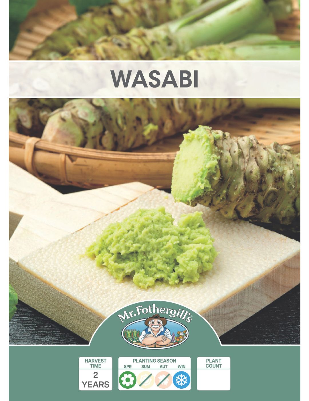 Wasabi Rhizome