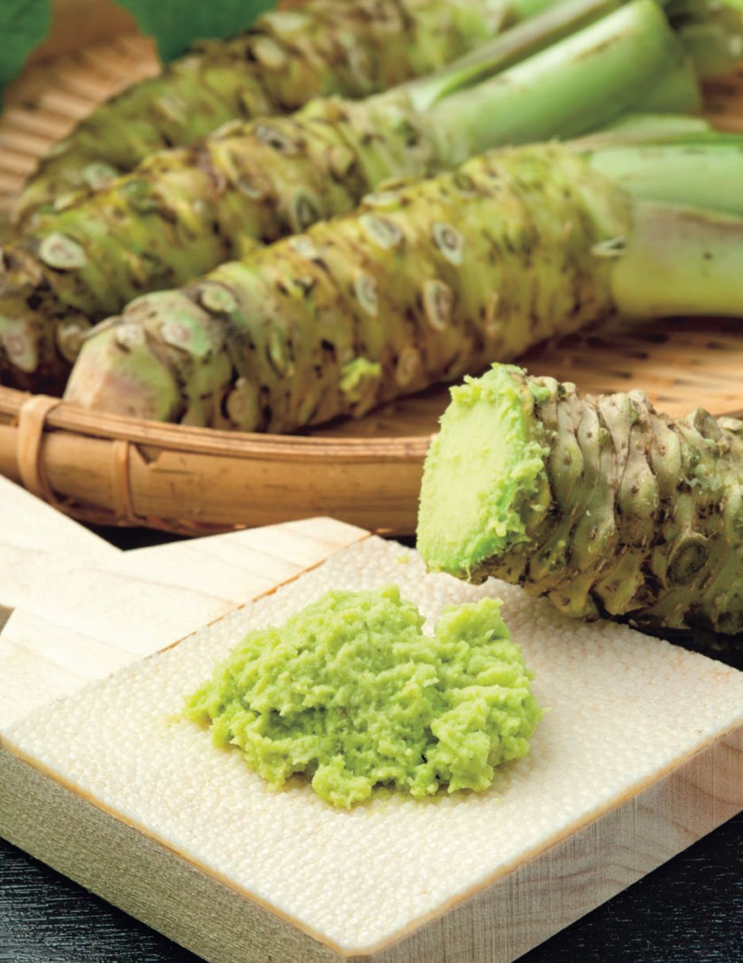 Wasabi Rhizome