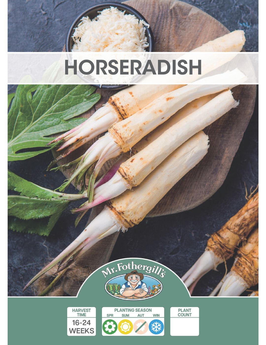 Horseradish Root