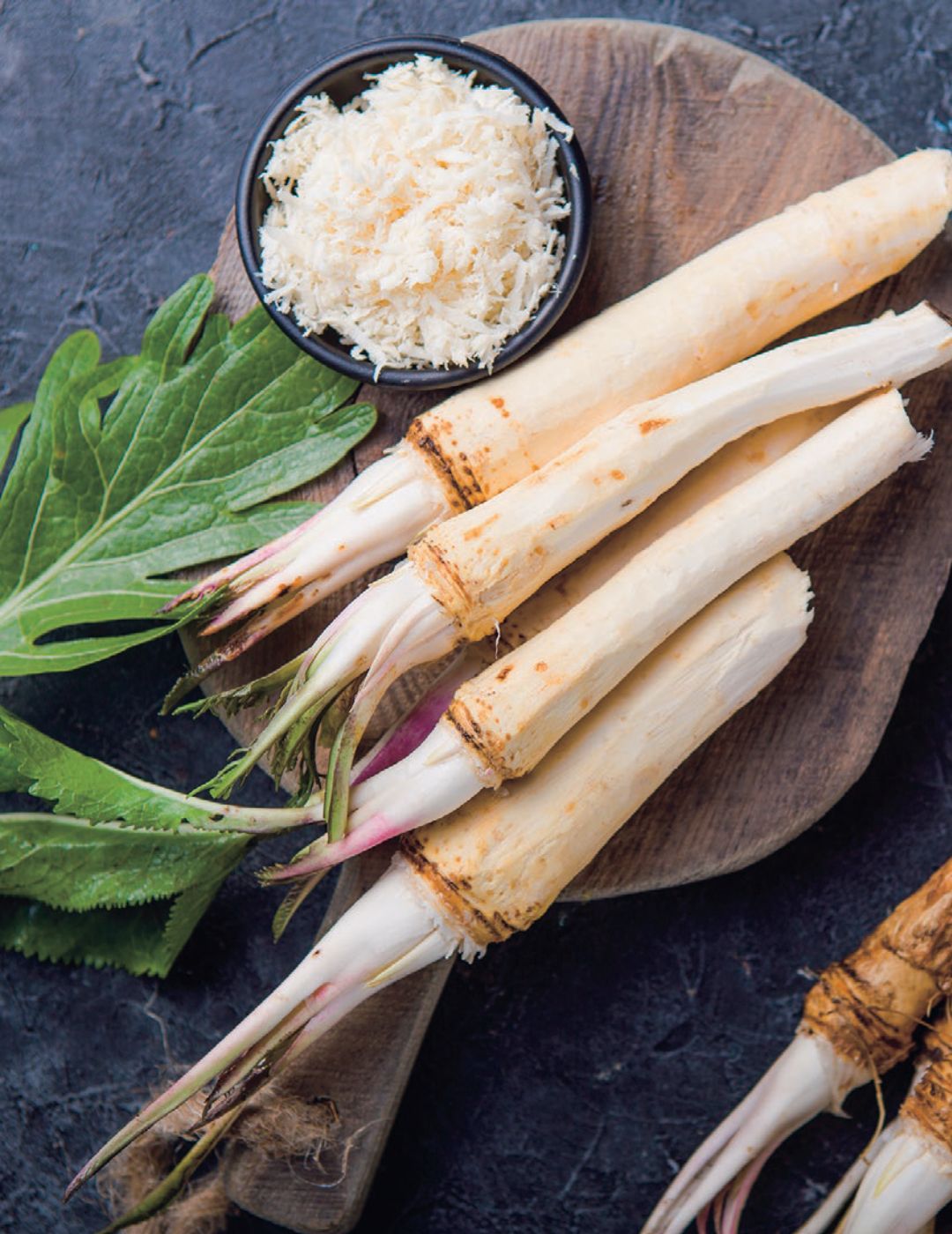 Horseradish Root