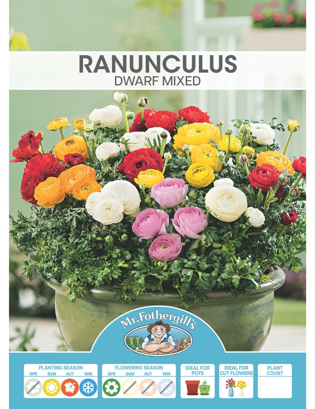 Dwarf Ranunculus Mix Bulbs