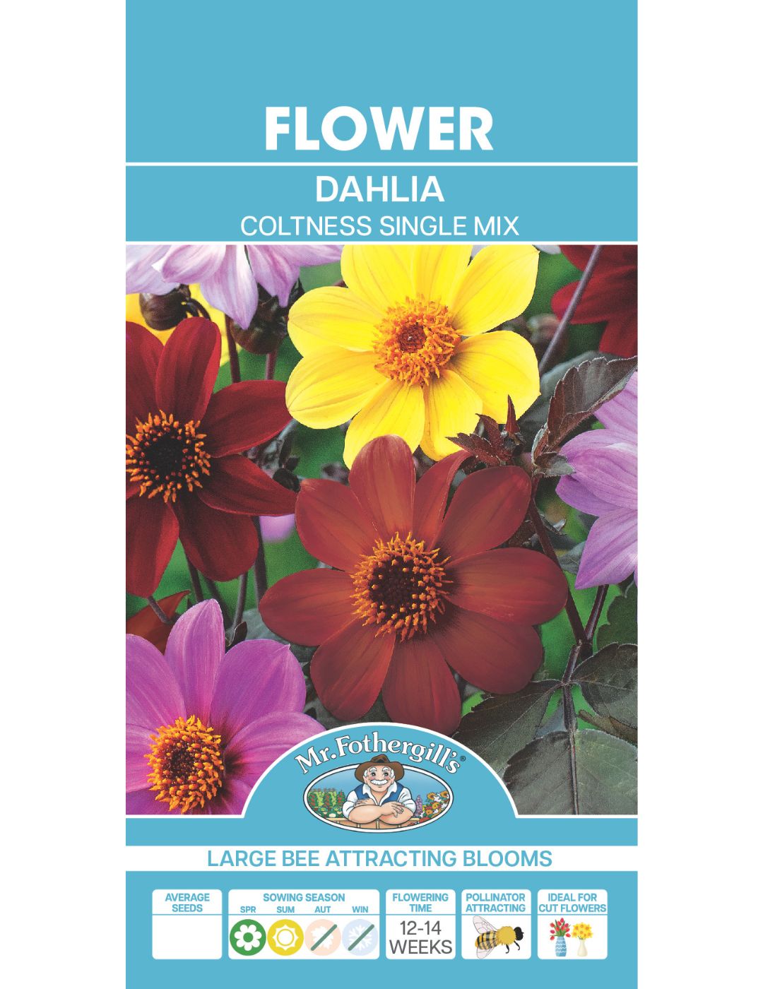 Dahlia Coltness Single Mix (Seeds)