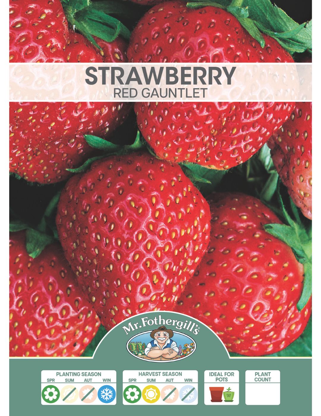 Strawberry Red Gauntlet (Crowns)