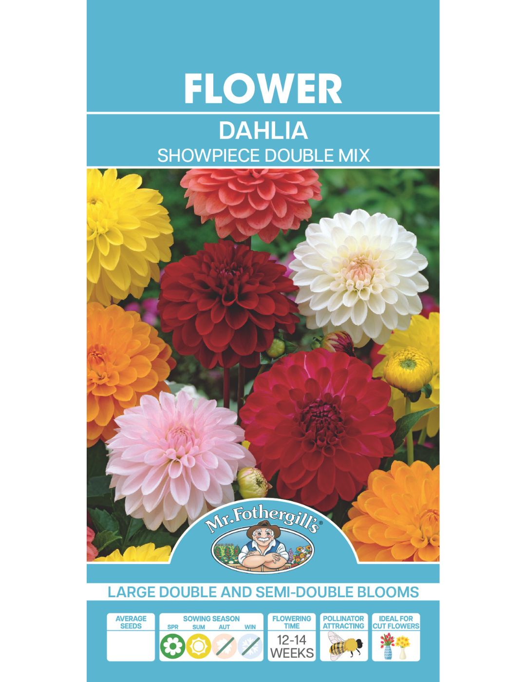 Dahlia Showpiece Double Mix (Seeds)