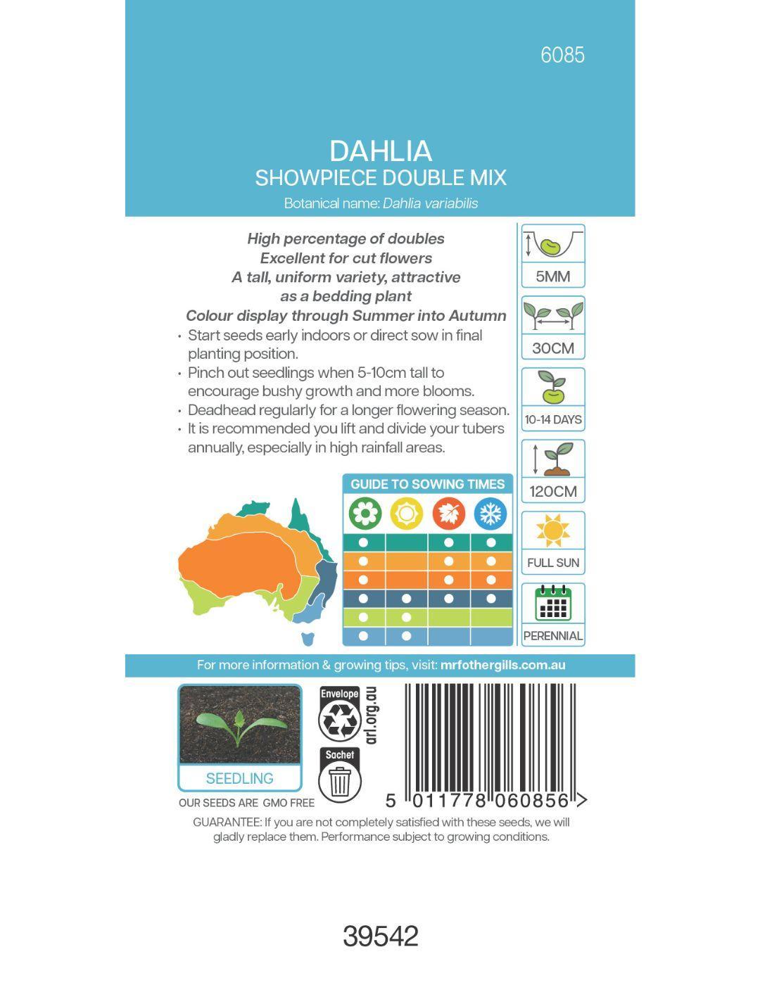 Dahlia Showpiece Double Mix (Seeds)