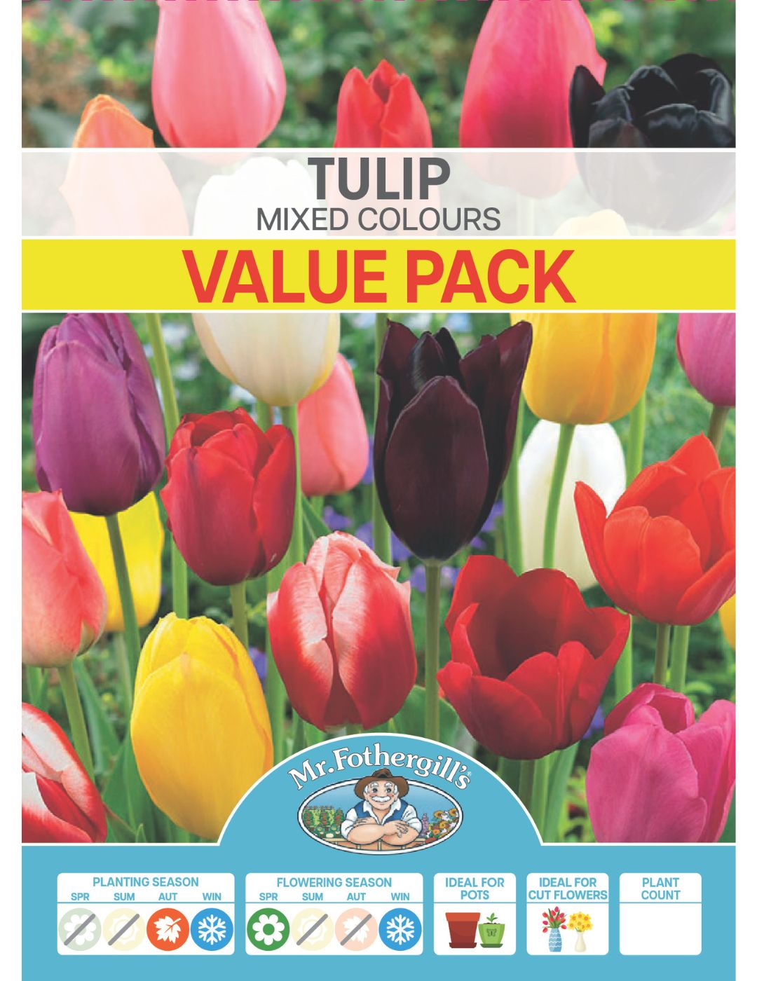 Tulip Bulbs Mixed Value Pack