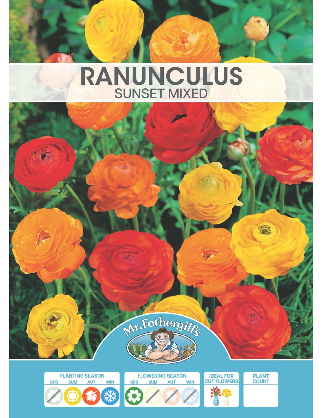 Ranunculus Sunset Mixed Bulbs