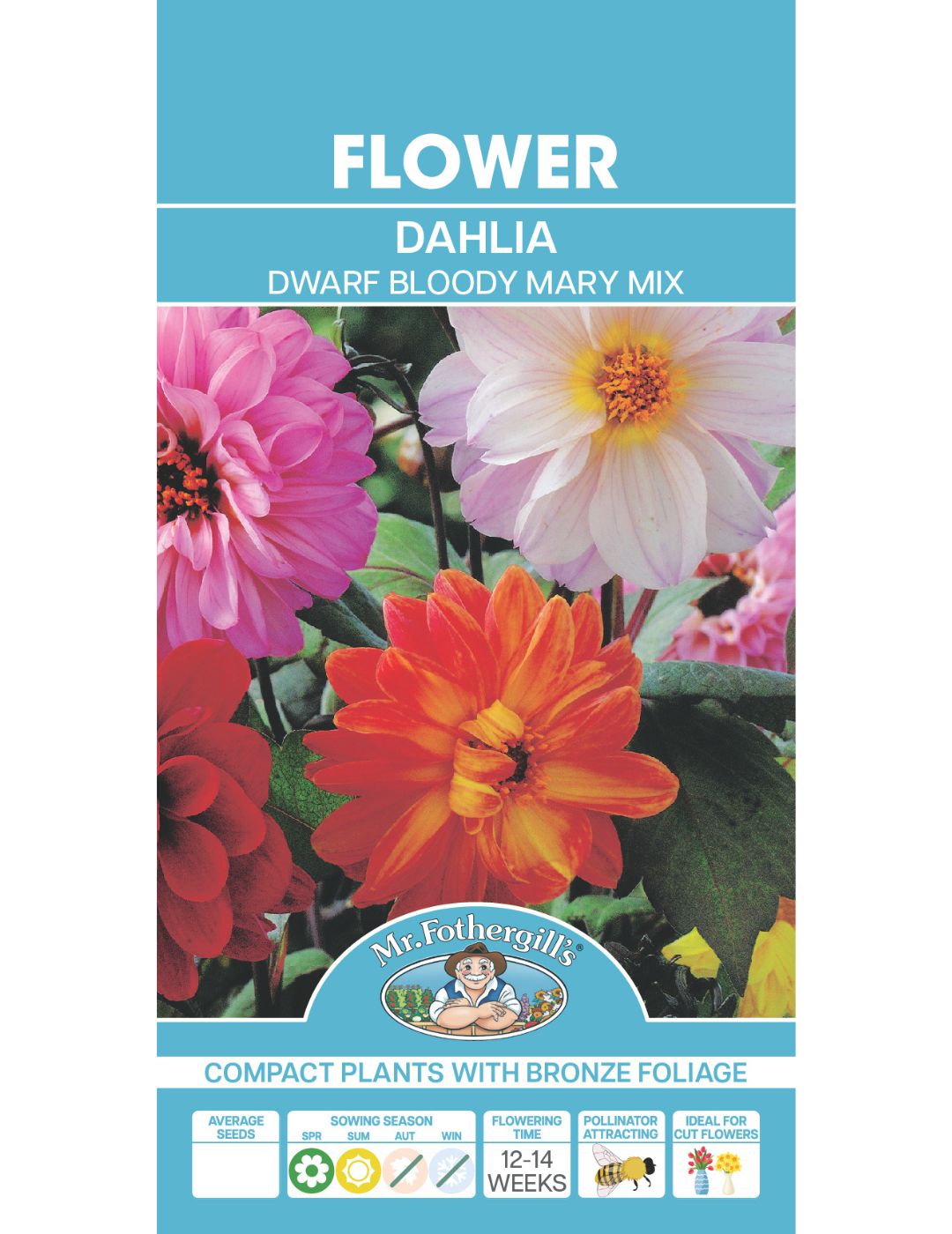 Dahlia Dwarf Bloody Mary Mix (Seeds)