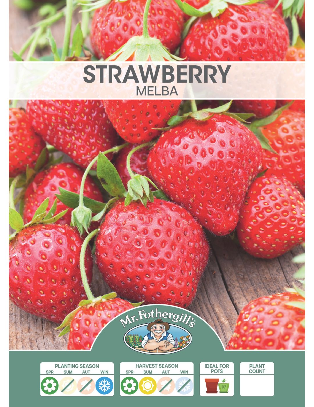 Strawberry Melba (Crowns)