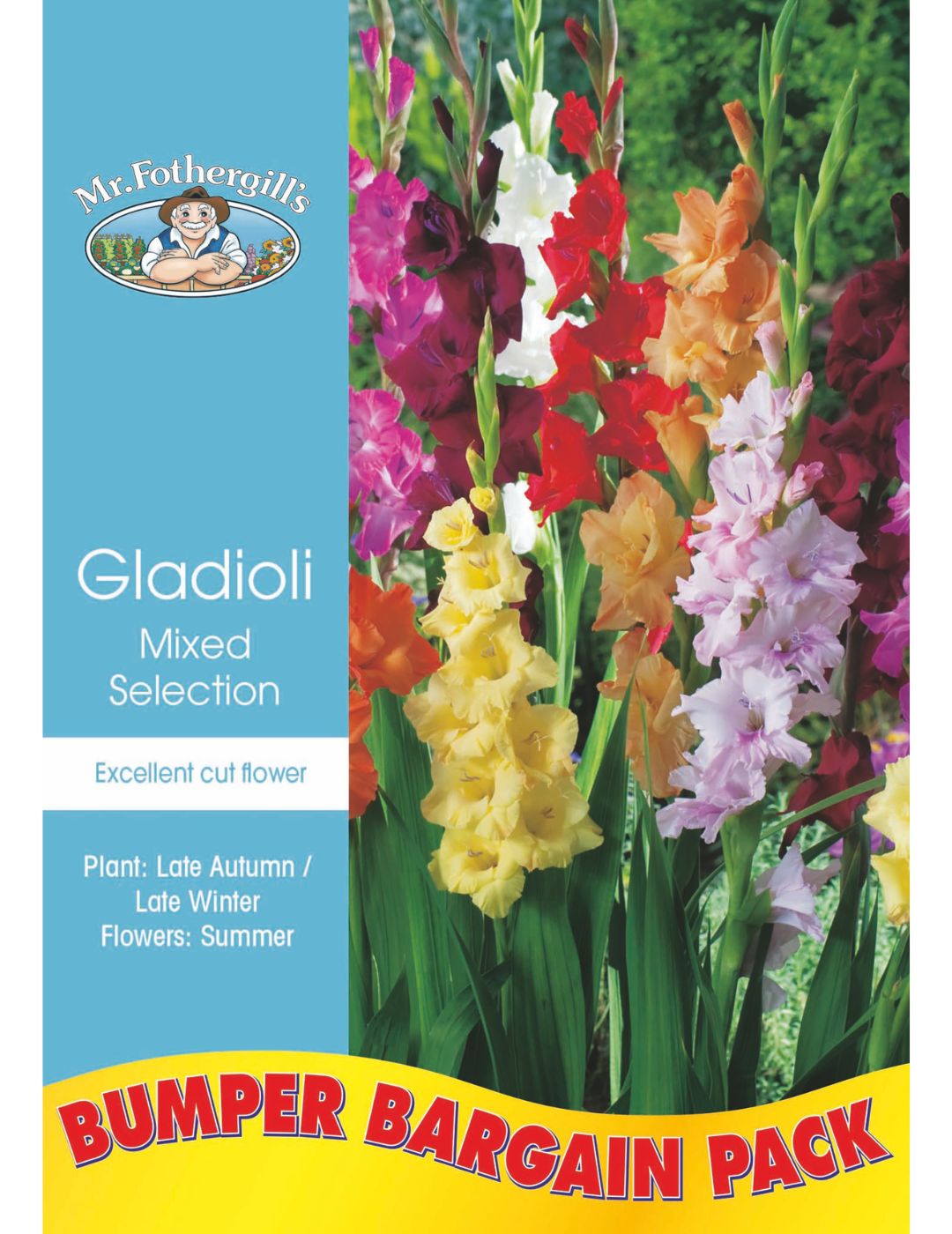 Gladioli Mixed Bulbs (Bumper Bargain Pack)