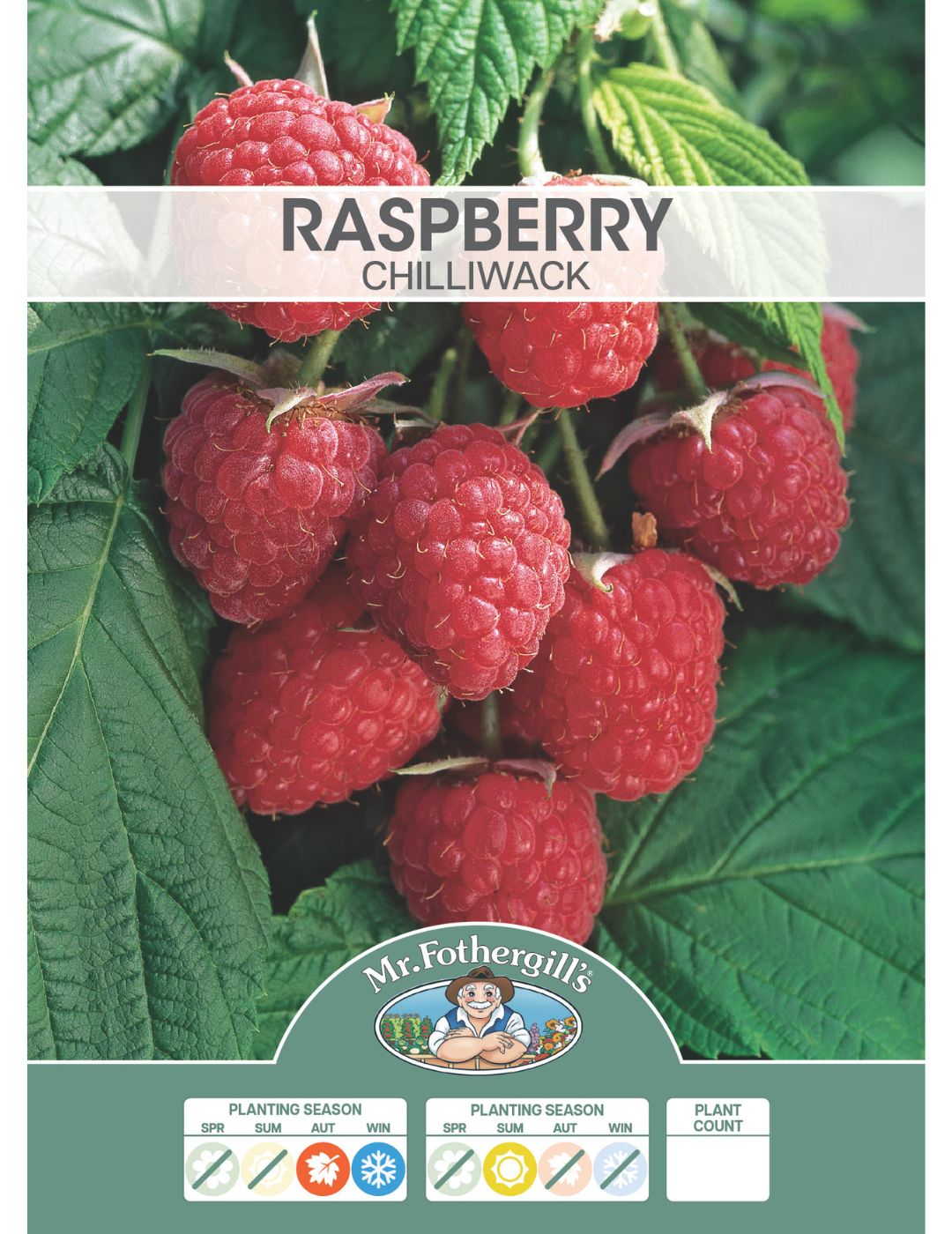 Raspberry Chilliwack