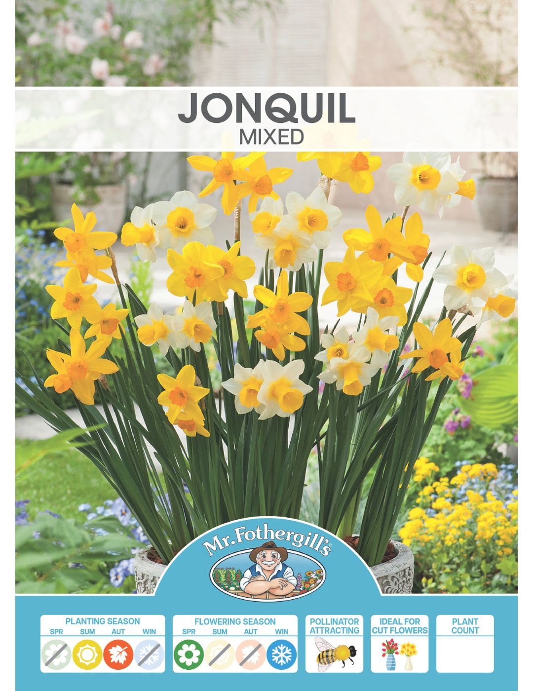Jonquil Mixed Shades Bulbs
