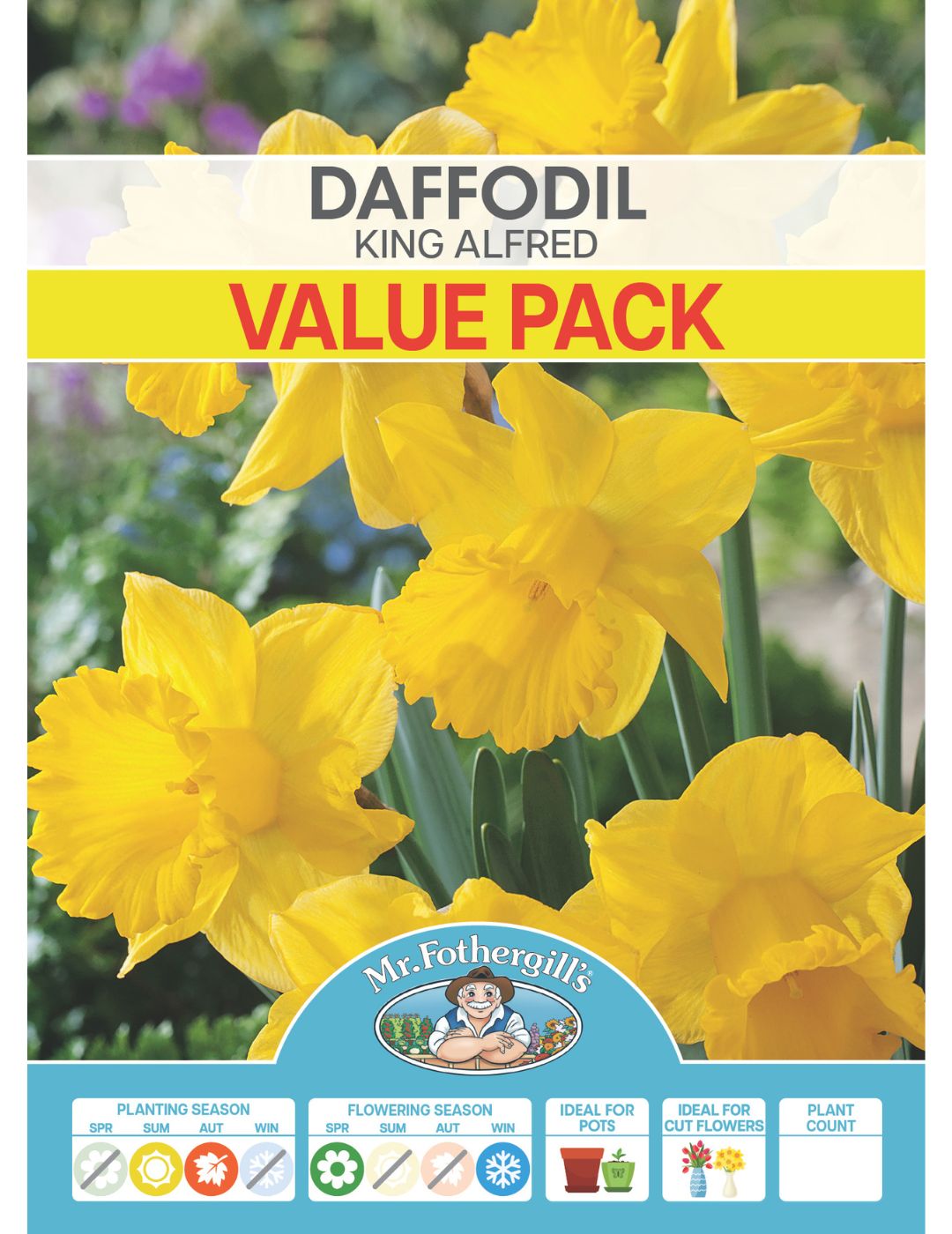 Daffodil King Alfred Value Pack