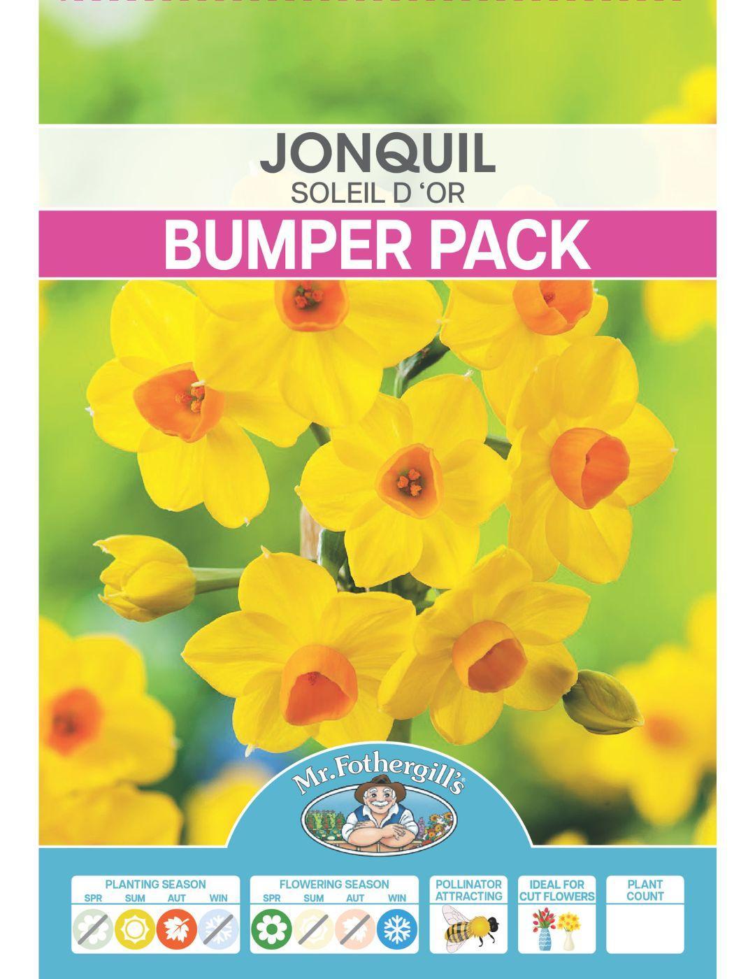 Jonquil Soleil d 'Or Bulbs (Bumper Bargain Pack)