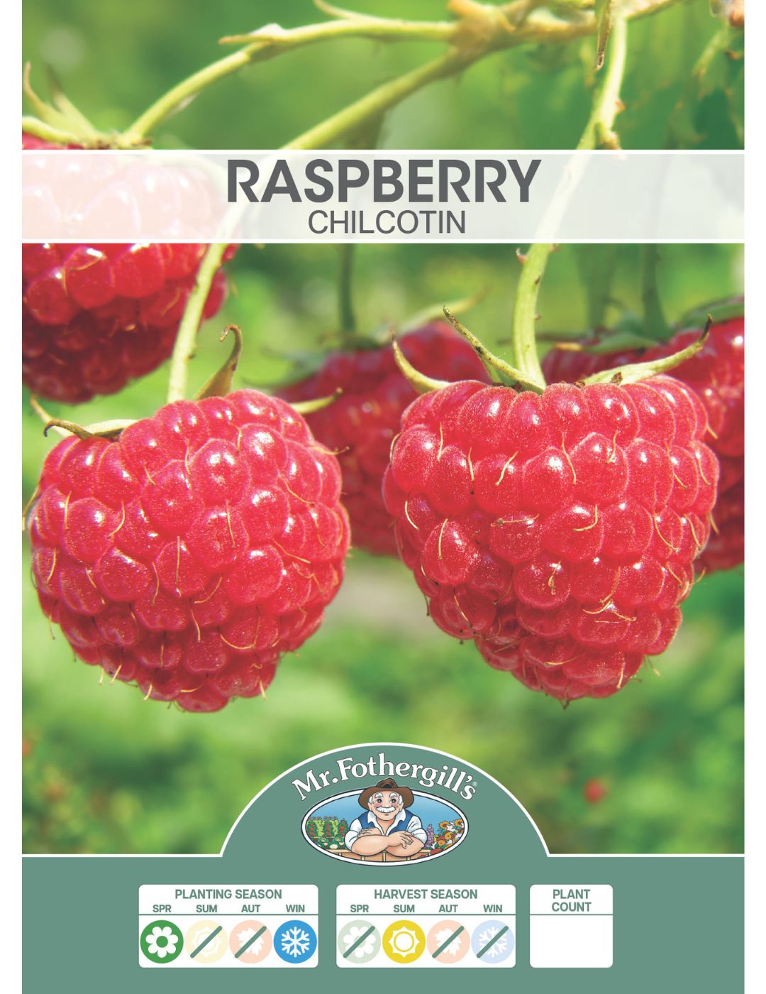 Raspberry Chilcotin