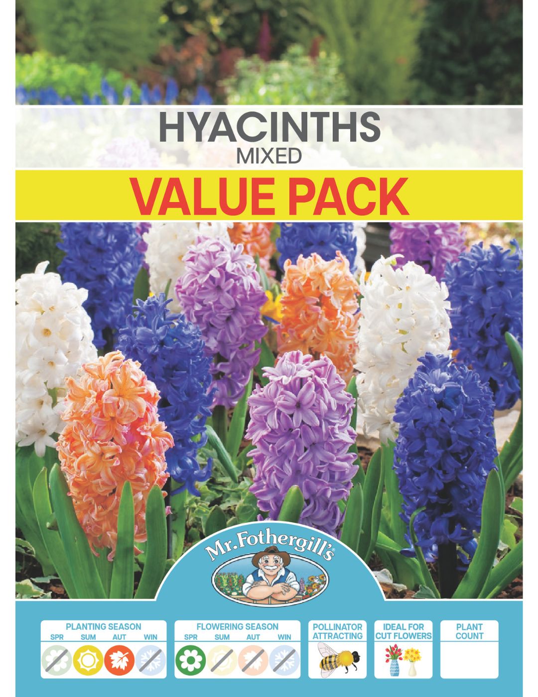 Hyacinth Mixed Value Pack