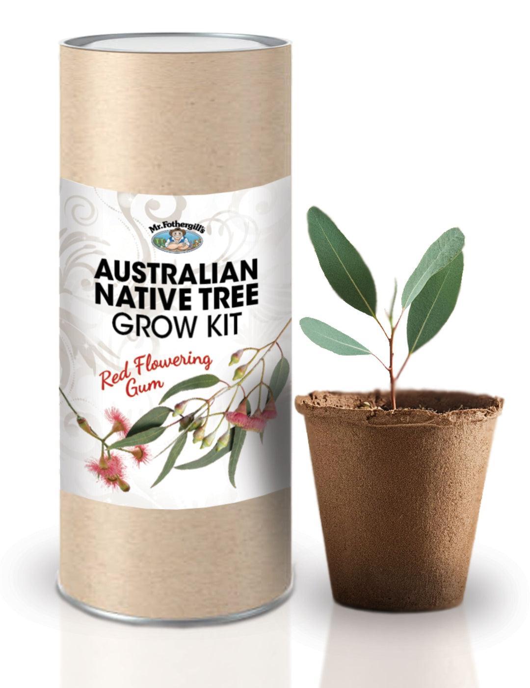 Red Flowering Gum Tree Grow Kit
