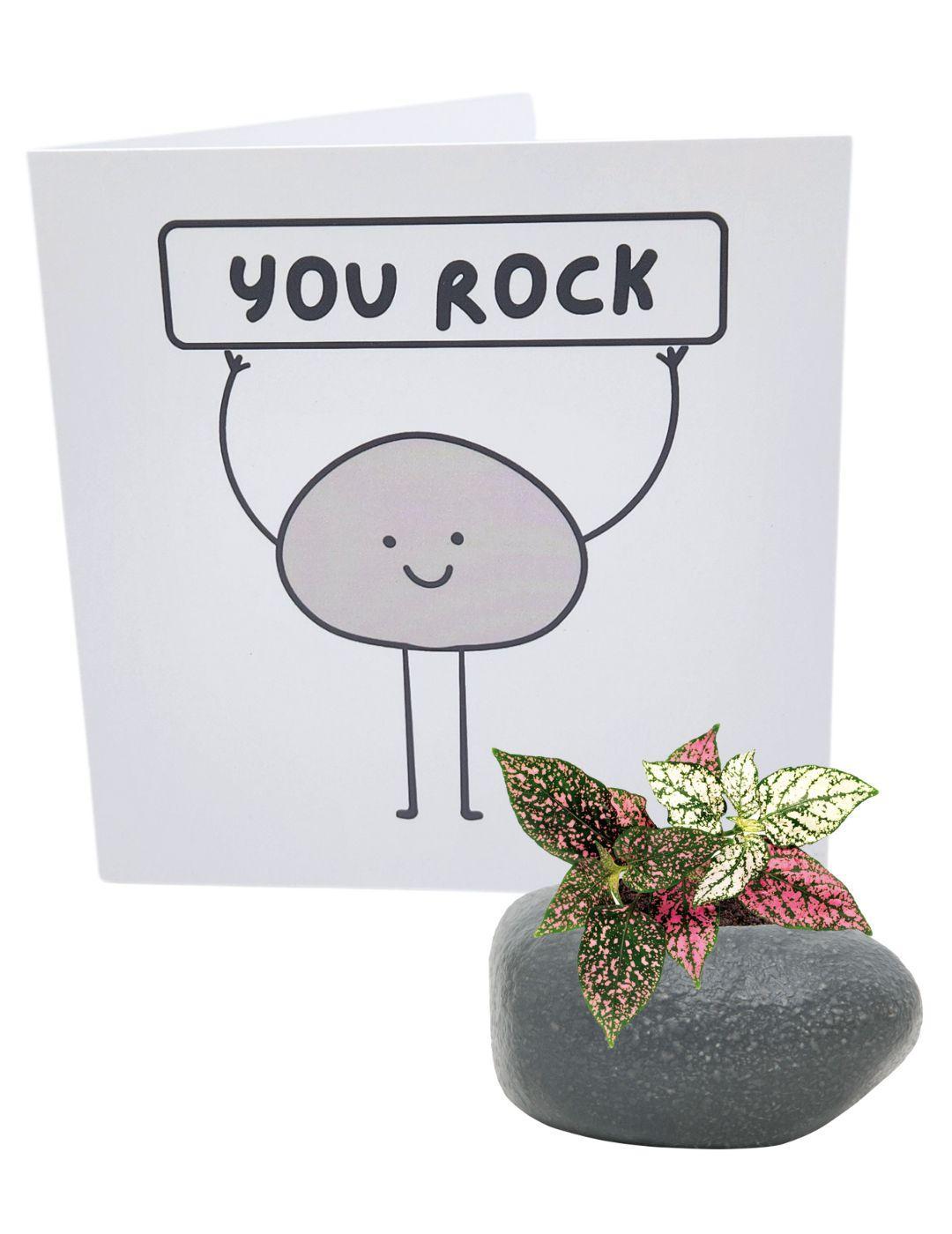 'You Rock' Planter and Greeting Card Set