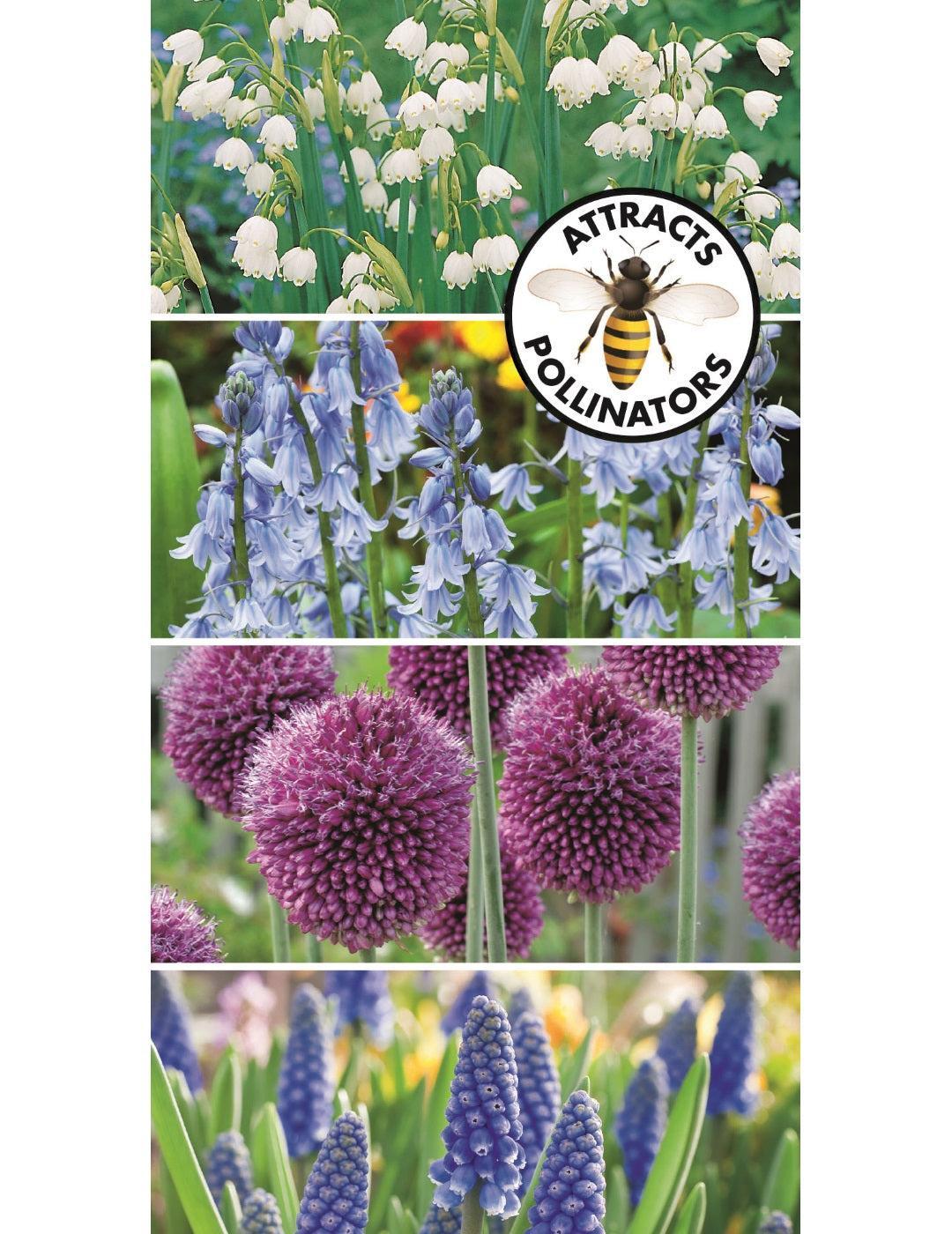 Bee Friendly Spring Garden Mix