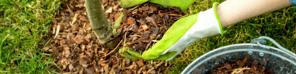 blog_mulching