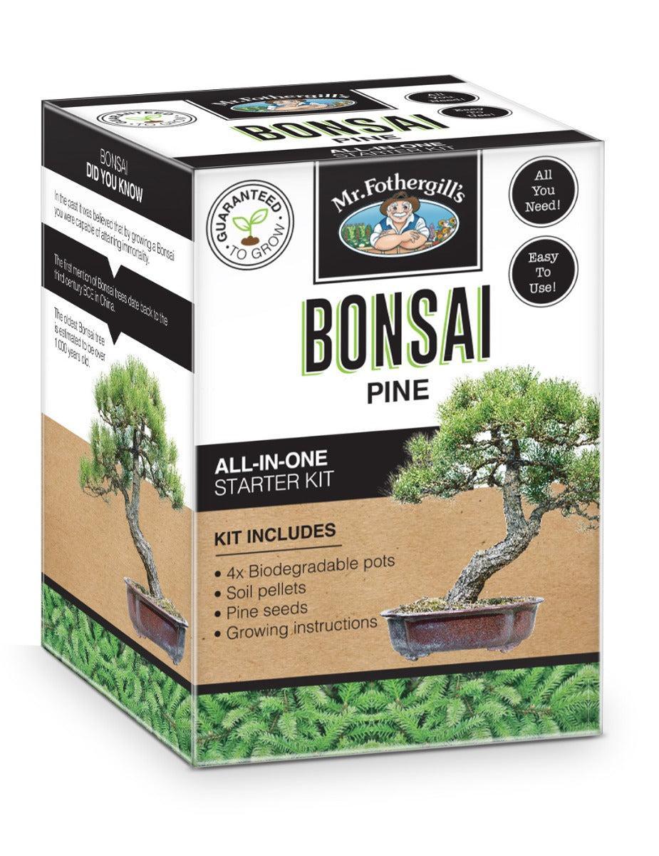 Pine Bonsai Starter Kit Mr Fothergills Seeds