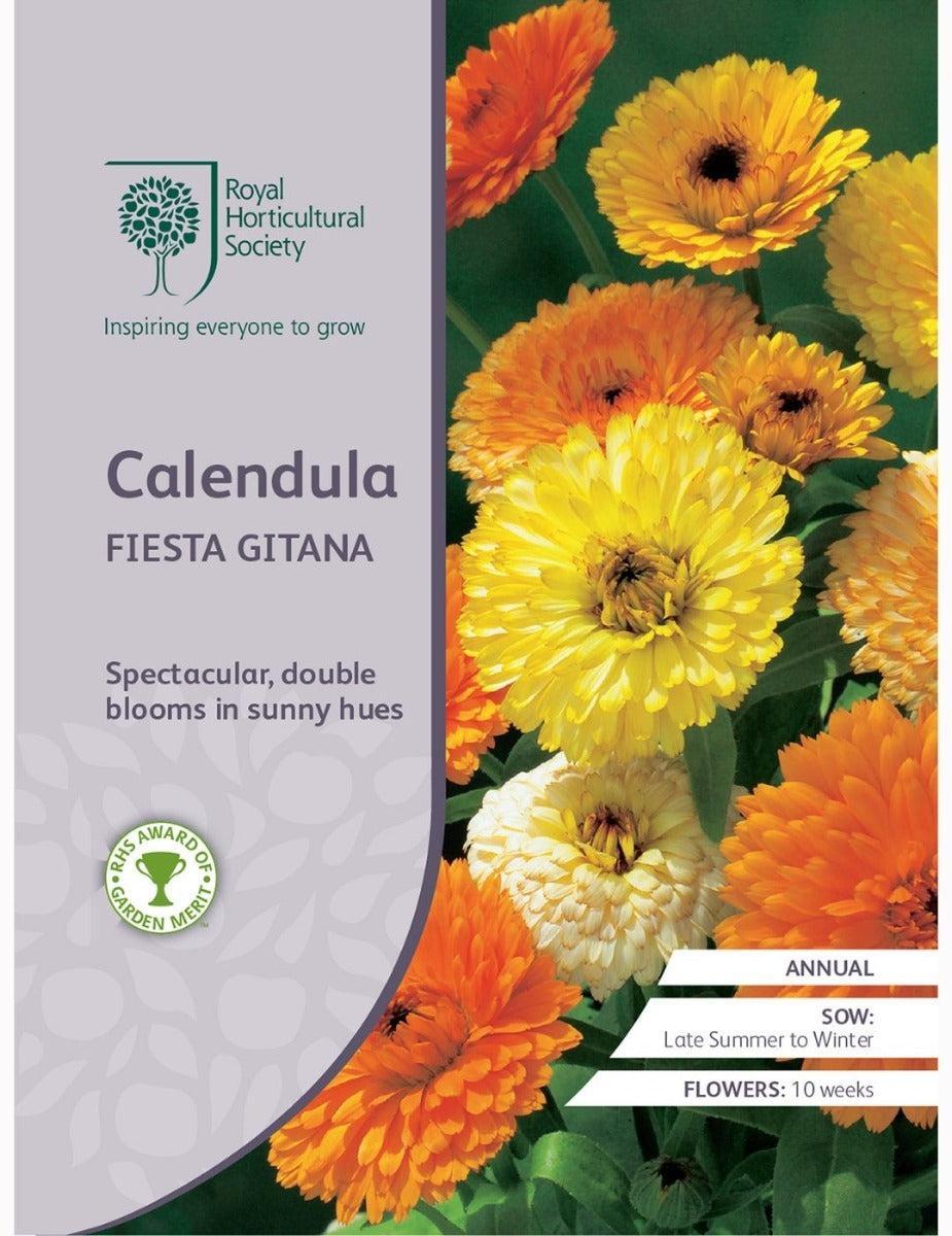 Calendula Fiesta Gitana
