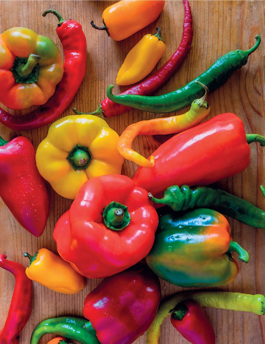Capsicum Mix Heirloom Seeds
