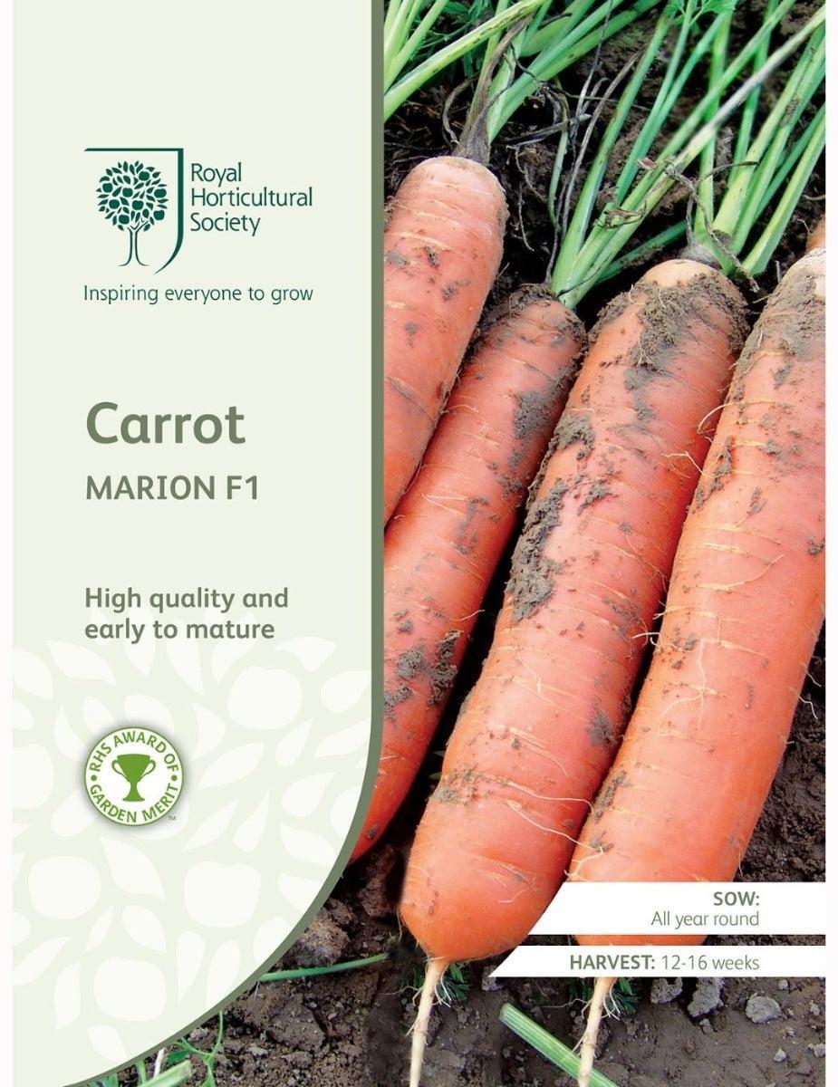 Carrot Marion F1