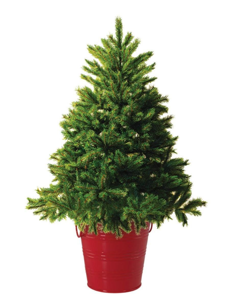 Christmas Tree - Round Grow Kit Tin (Limited Edition Red)