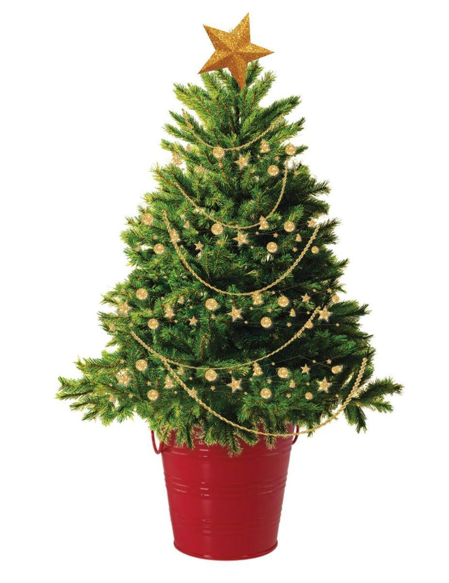 Christmas Tree - Round Grow Kit Tin (Limited Edition Red)