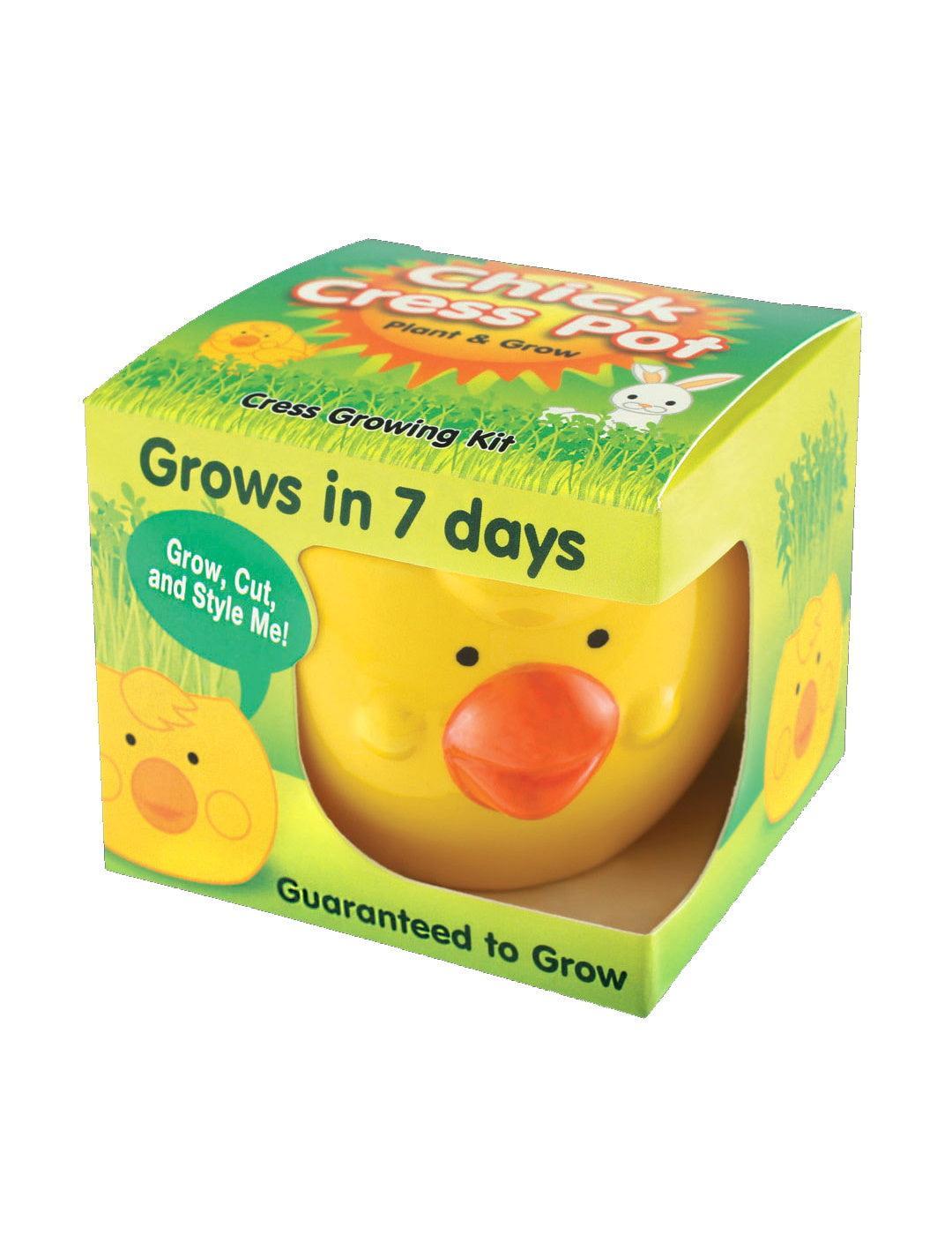 Easter Cress Chick - Yellow