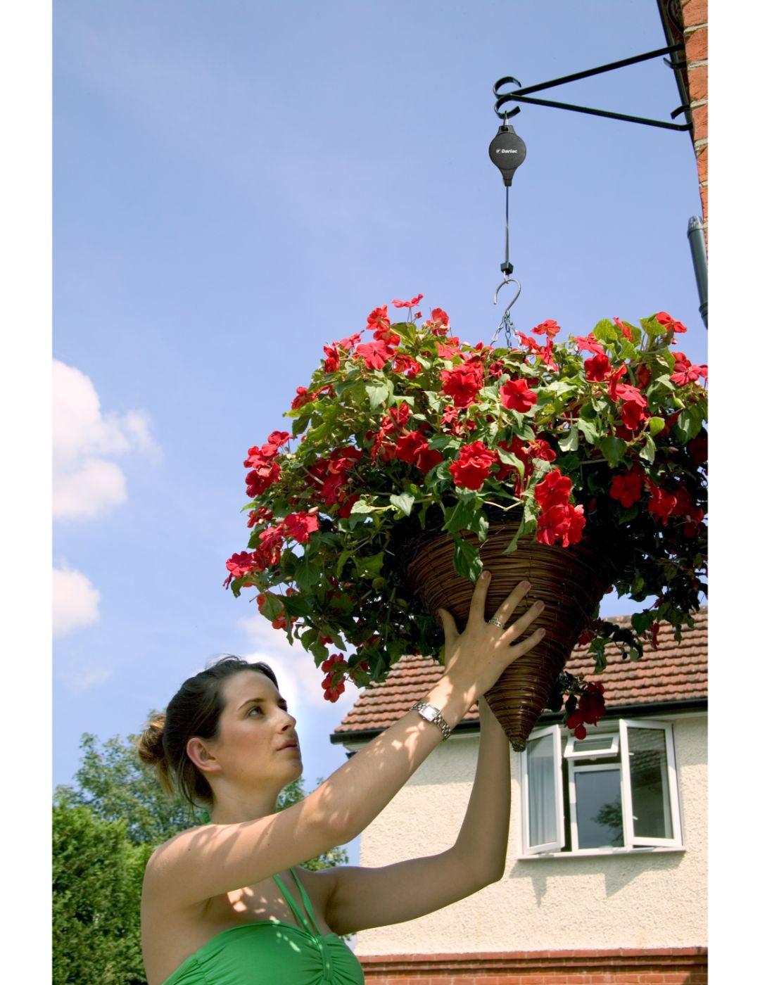 Darlac Hi-Lo For Hanging Baskets