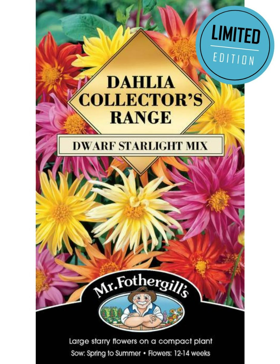 Dahlia Dwarf Starlight Mix (Seeds) LIMITED EDITION