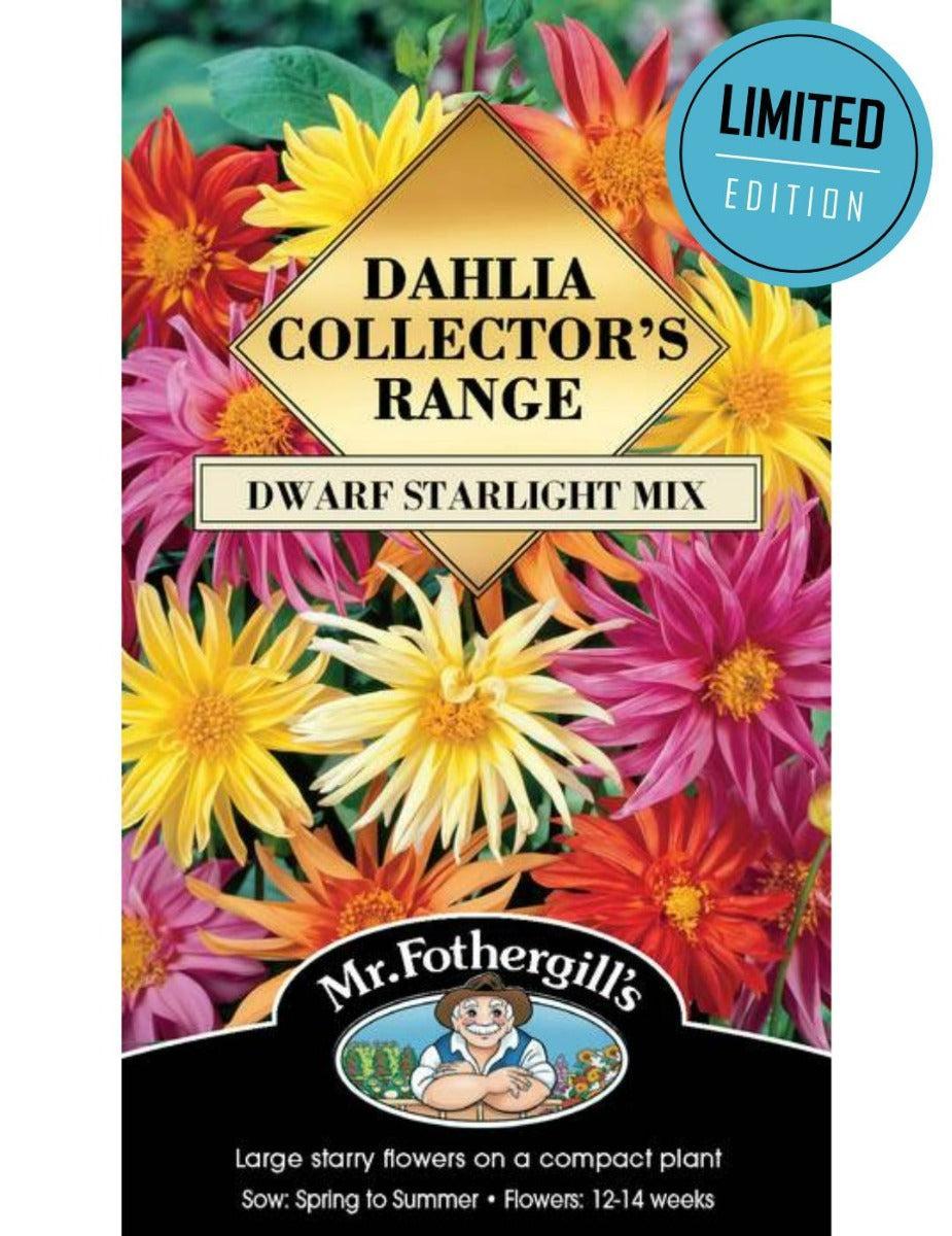 Dahlia Dwarf Starlight Mix (Seeds) LIMITED EDITION