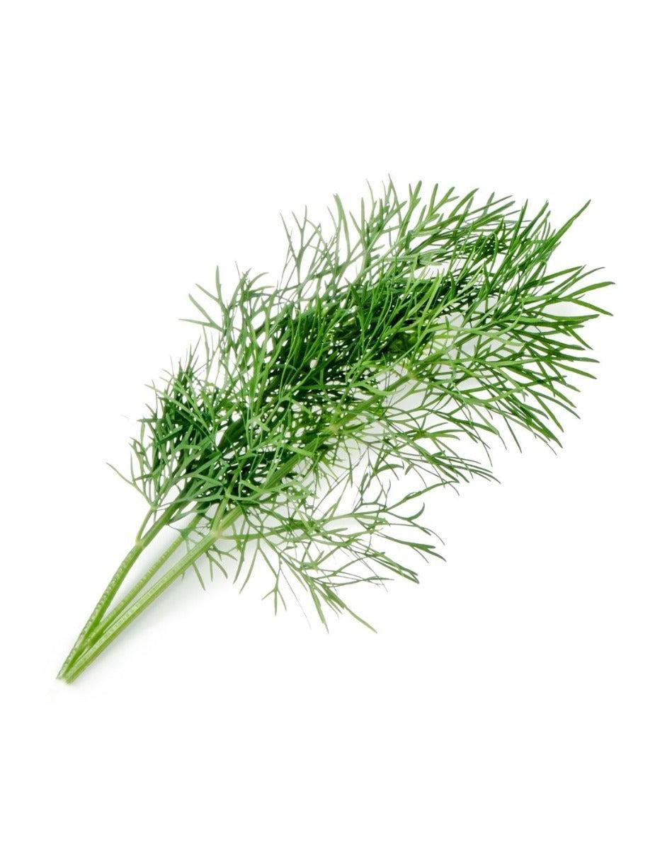 Véritable® Seed Lingot® - Dill