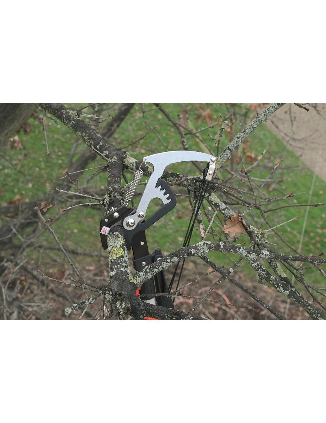 Darlac Expert Geared Bypass Tree Pruner