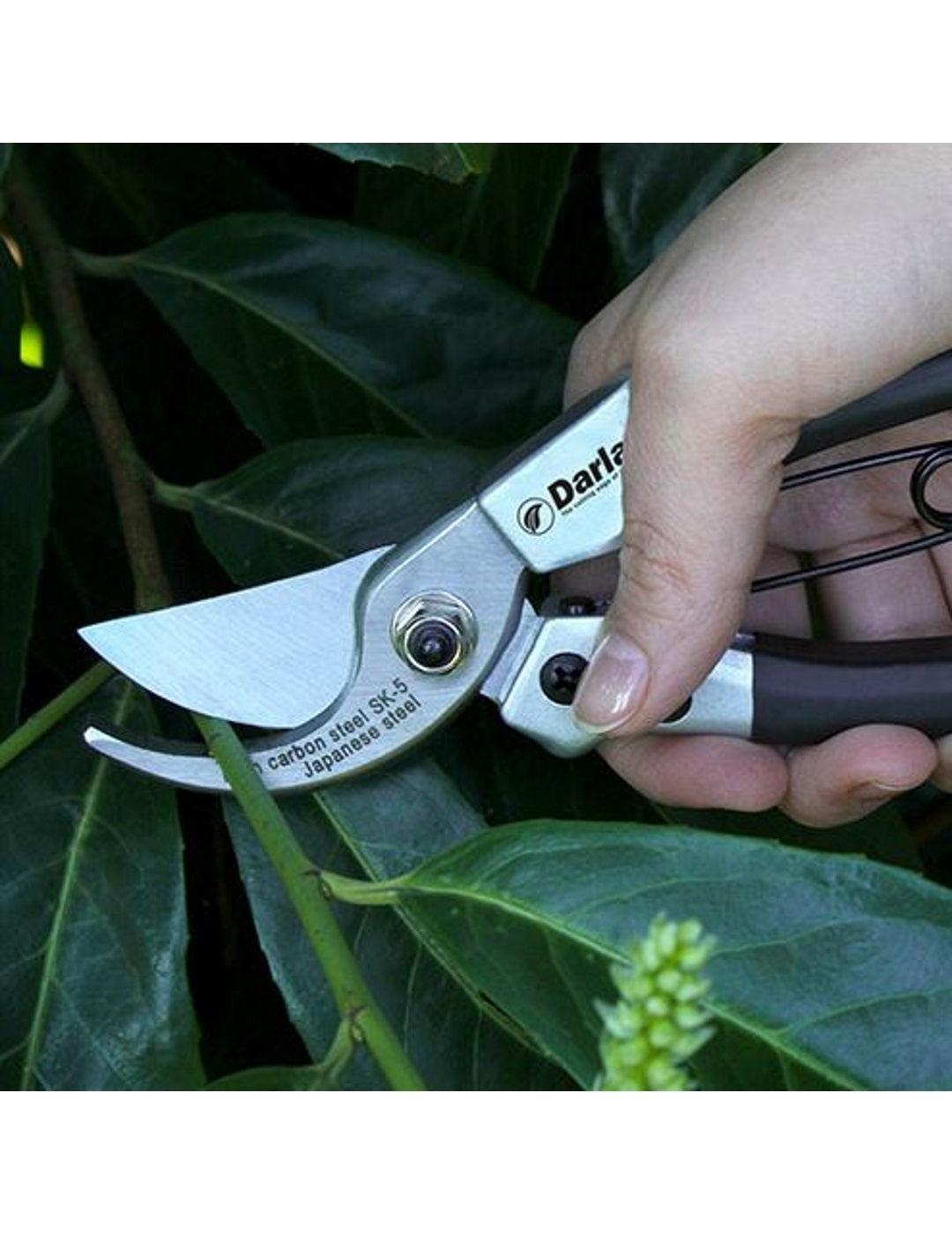 Darlac Compact Bypass Pruner Secateurs
