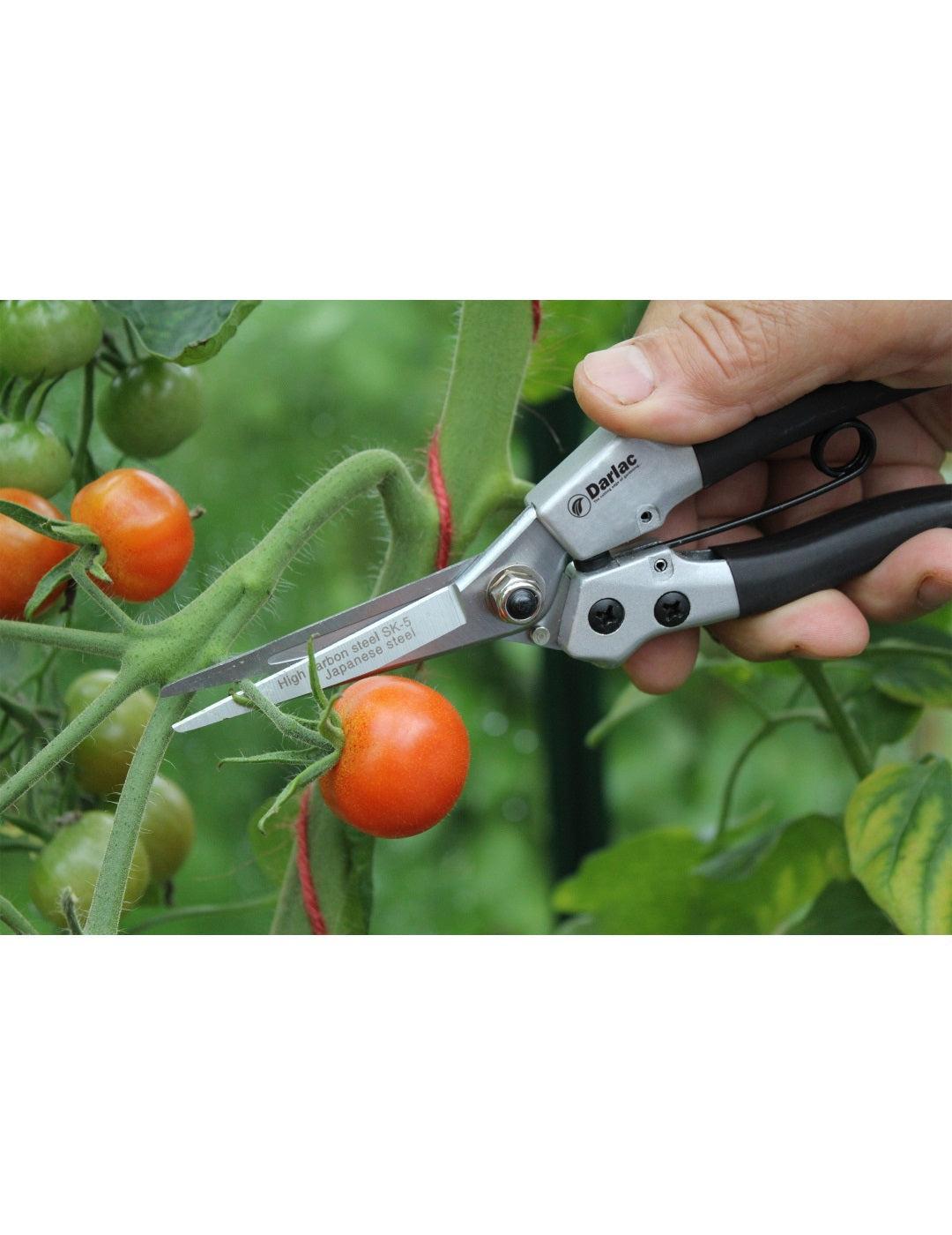 Darlac Compact Snips