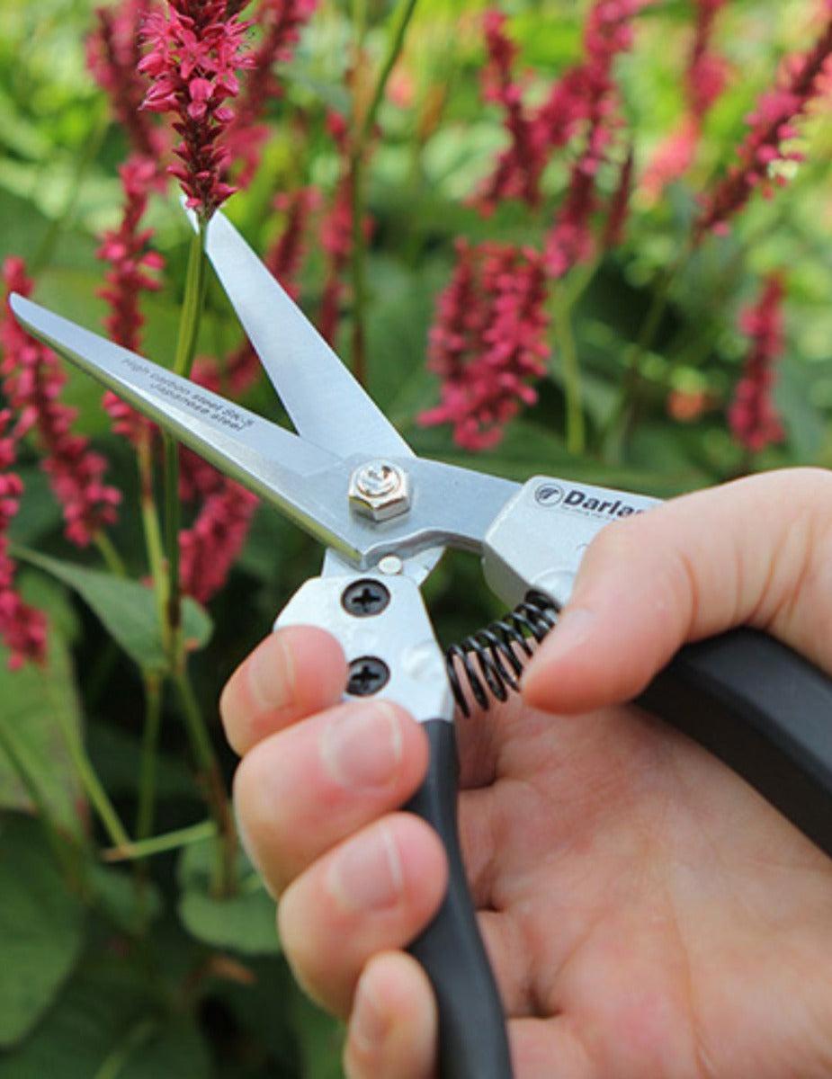 Darlac Compact Shears