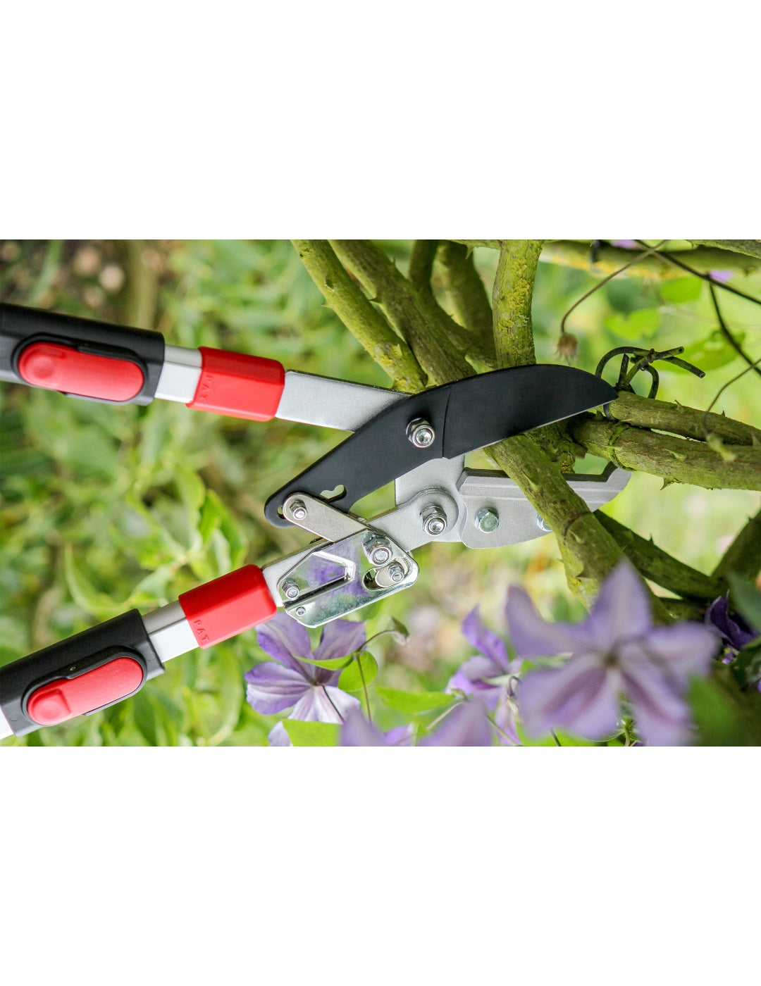 Darlac Telescopic Ratchet Anvil Lopper