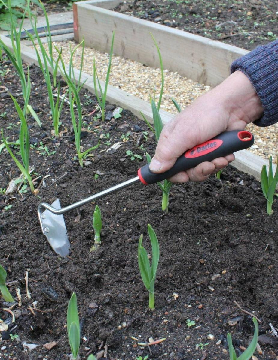 Darlac Stainless Steel Onion Hoe