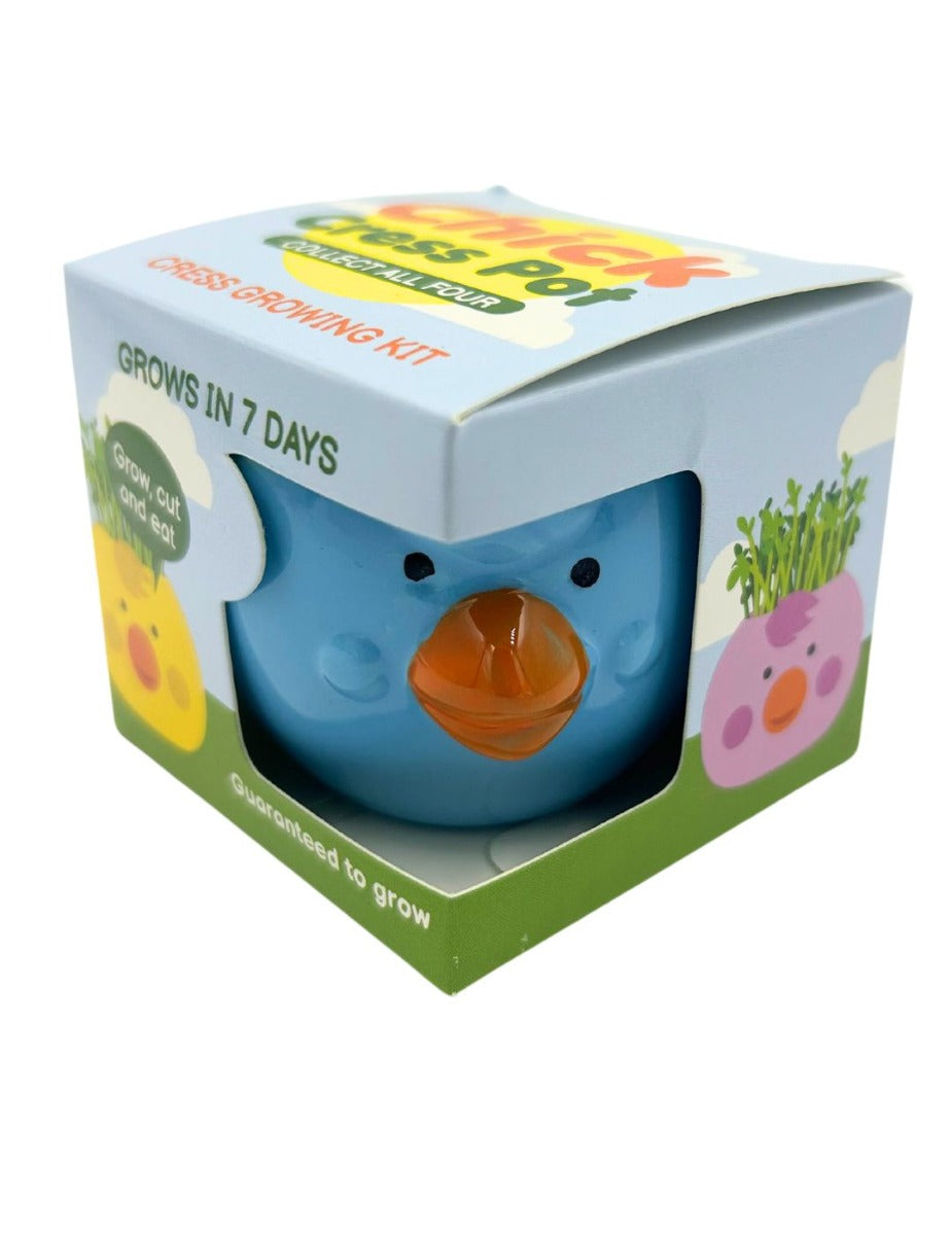 Easter Cress Chick - Assorted Colours