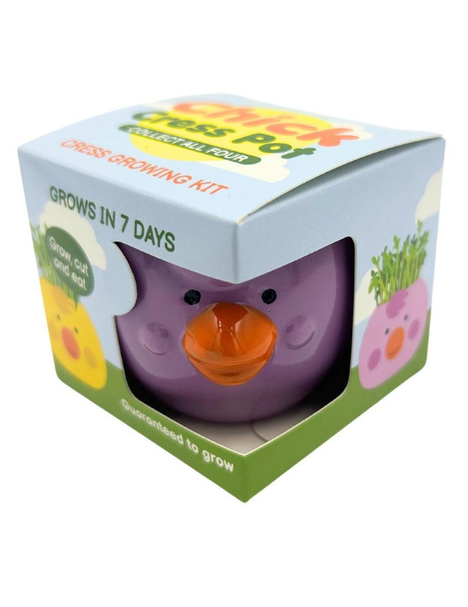 Easter Cress Chick - Assorted Colours